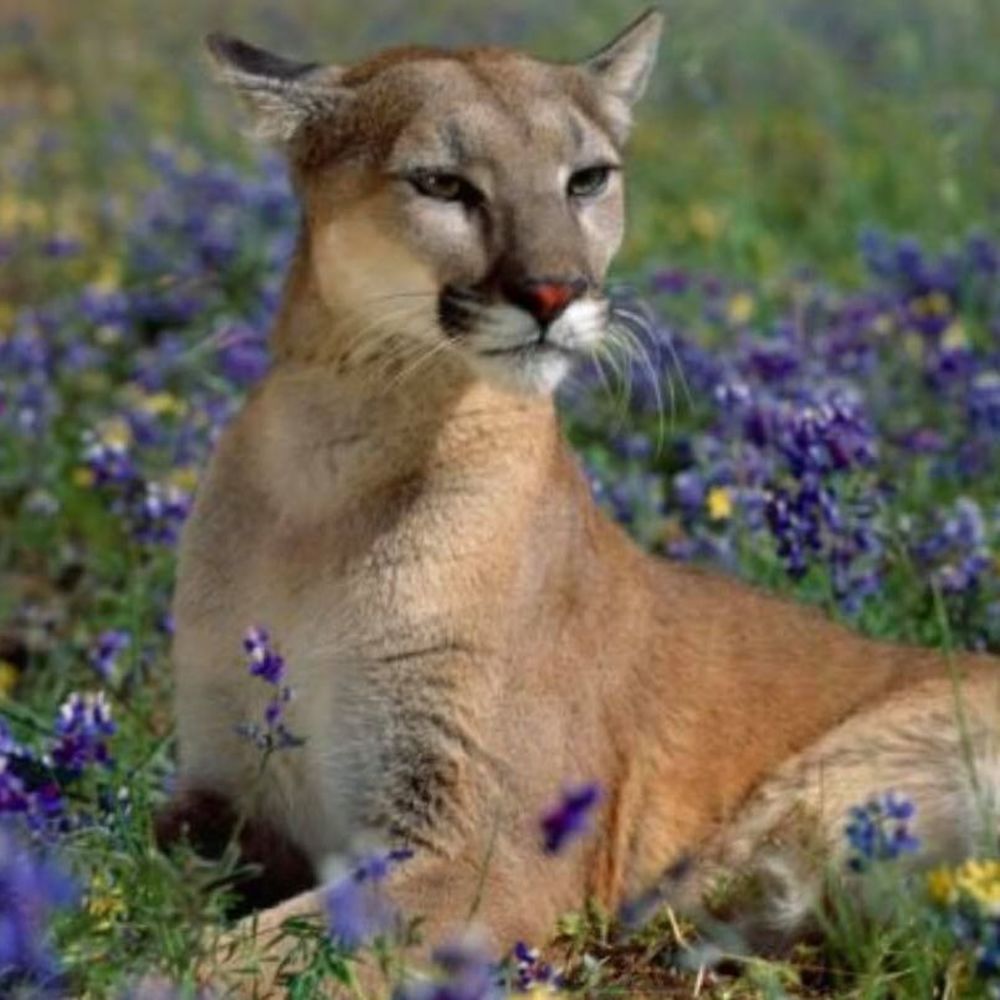 Meet your Posher, Jenn